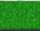 grass01wk5.png