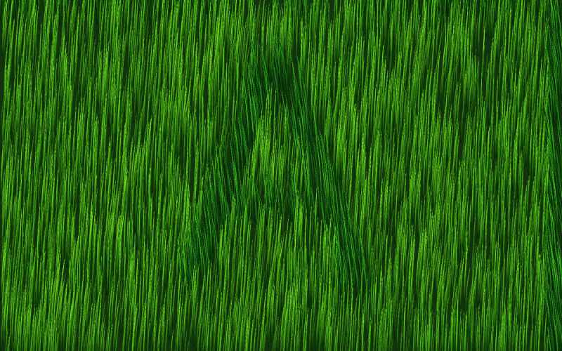 picture-7.png