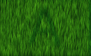 picture-7.png